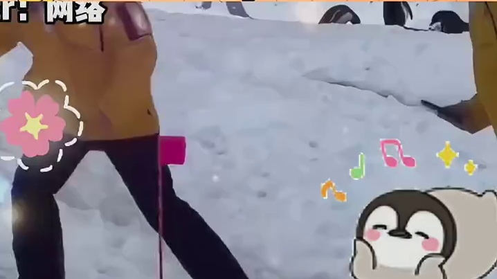 企鹅：轮到我去约会了吧