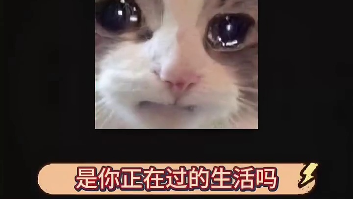 初看不知剧中意，再看已是剧中人啊