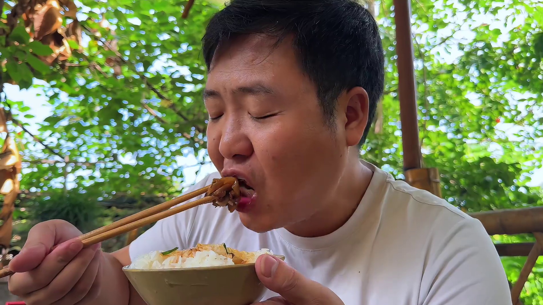 打几颗板栗，杀只甲鱼一起炖，出锅香到舔手指！ #我的乡村生活 #下饭菜 #乡村味道 #