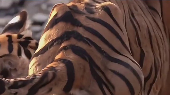 她证明自己风采依旧