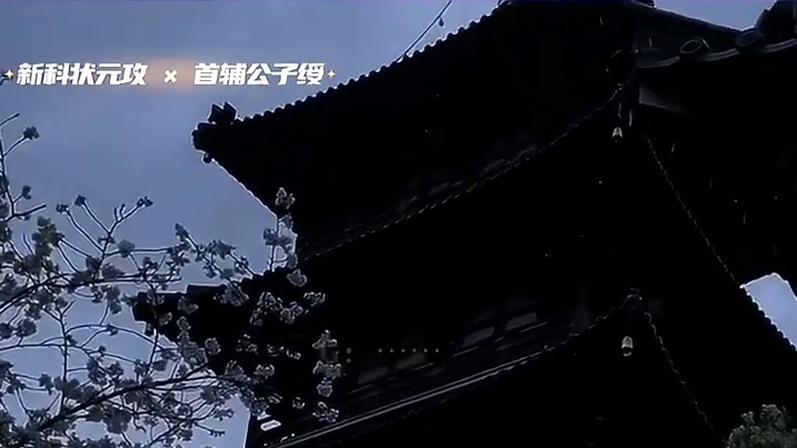 曾经的爱意彻底成了笑话#广播剧#小说#推文