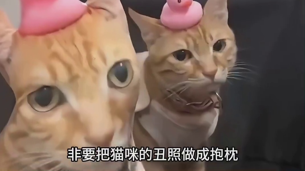 这个世界的大家终于颠了