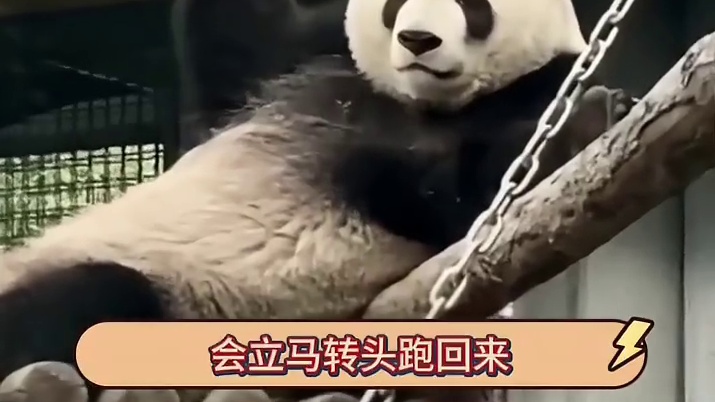 退一万步来说，我真的不能嫁给萌兰吗