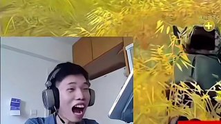 鯊魚撞車小龍？老鼠祖師爺也擋不住飲料的誘惑