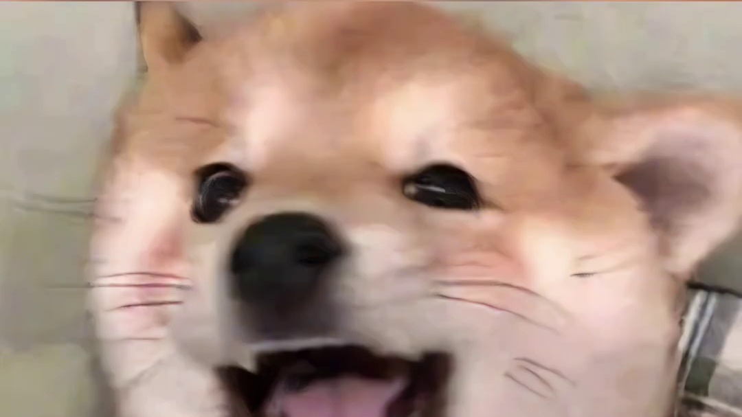 实力派好演员，实打实的国民信赖好品牌，这波属实是强强联合了！#洁玉不语只一味陪成毅赴山海  #成毅洁