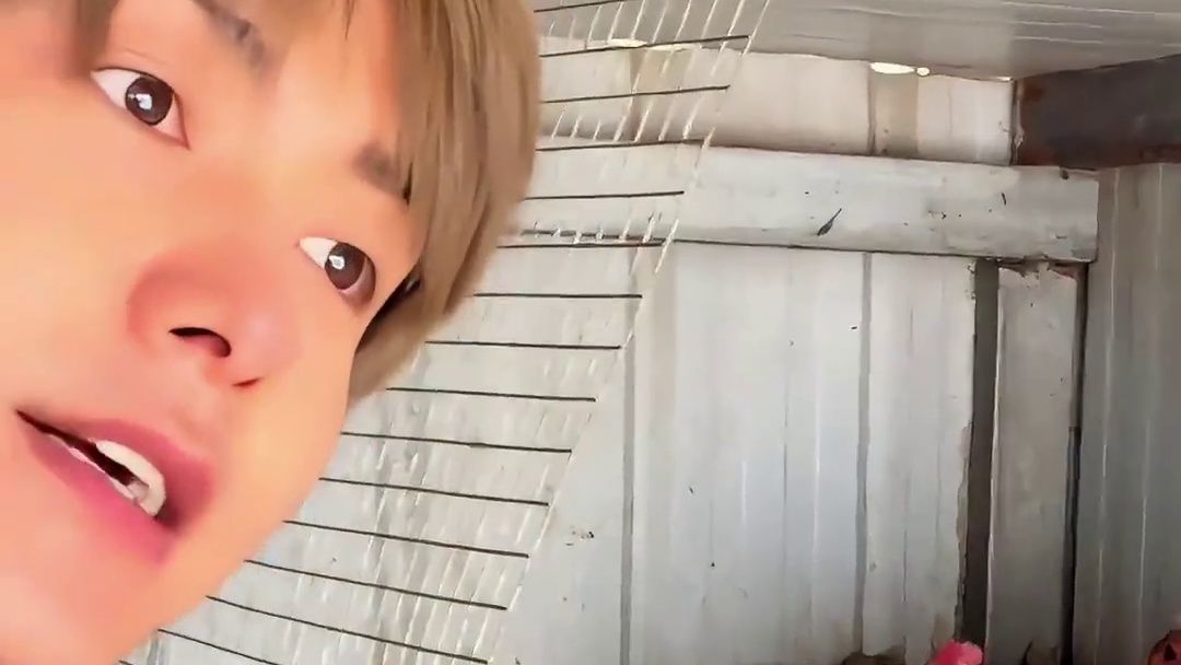 为何明星纷纷退圈去养鸡？看到马天宇周杰张曼玉集体消失，才懂肖战好好活着背后的心酸 #马天宇  #周杰