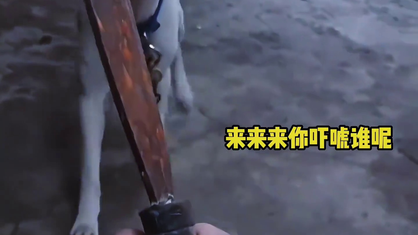 嘿，我就闯红灯了，你能把我怎么样呢？ 搞笑配音#动物世界 #搞笑 #万万没想到