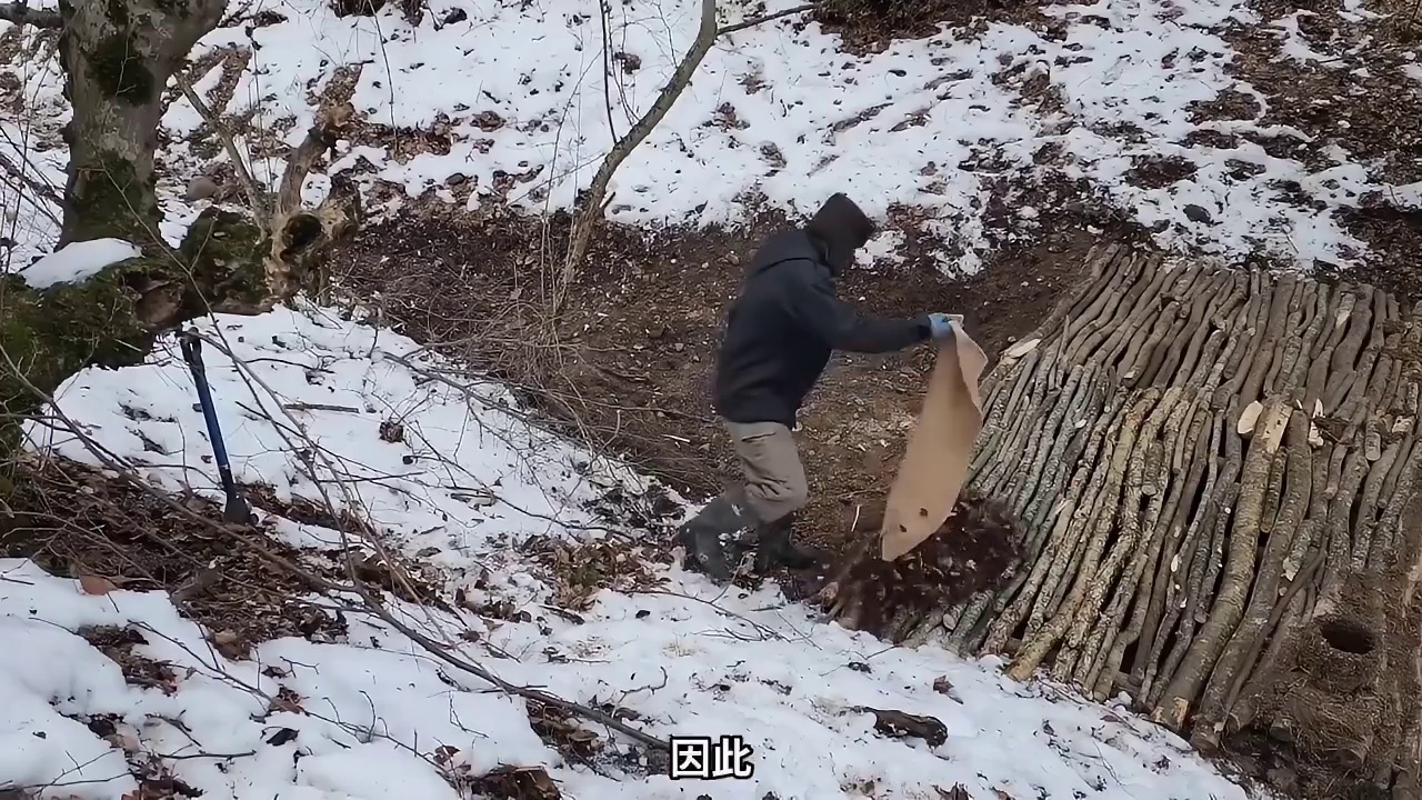 第2集：男人在野外建造的庇护所由于太温暖，晚上竟然引来狼群串门