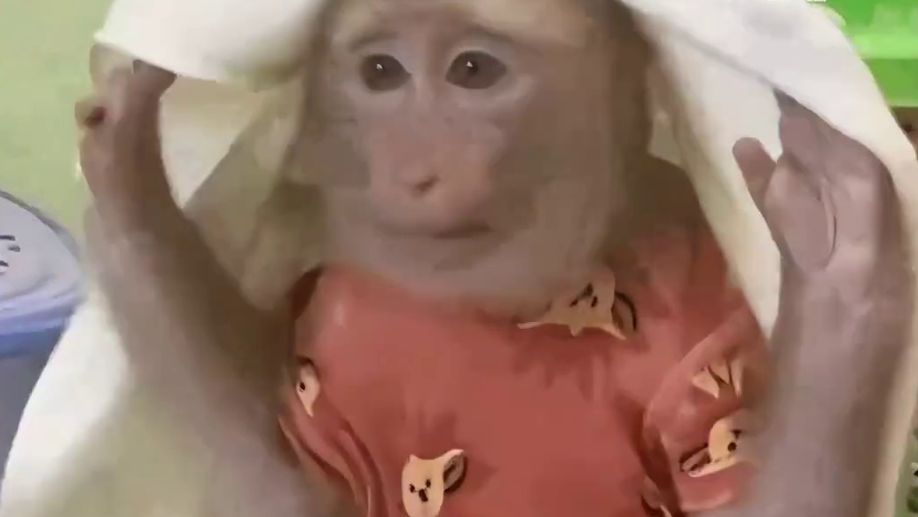 那么要是你，你会怎么写呢？