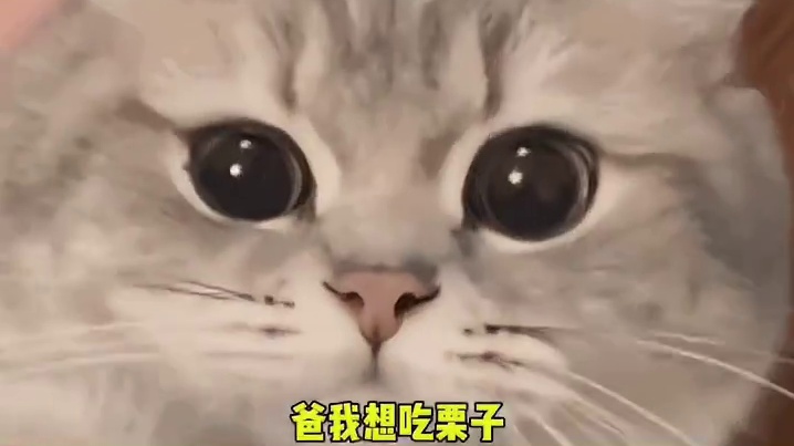 其实在东北男孩儿女孩儿都很爱哈哈哈！只是表现的不一样而已