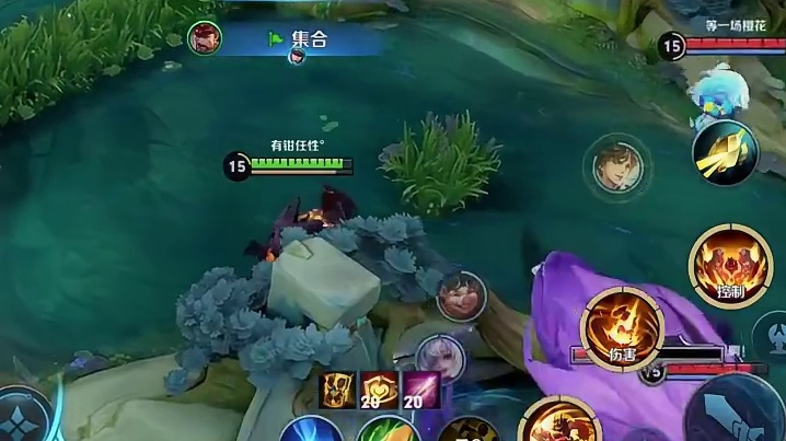 后期廉颇给个刺客似的专切脆皮当辅助是可惜了