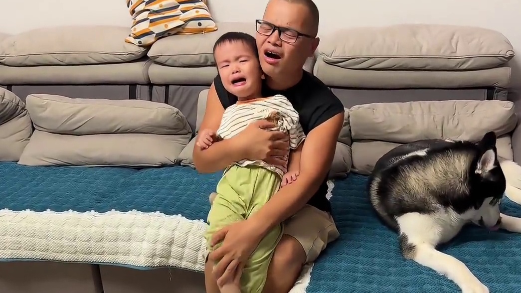 二哈偷小宝宝的面包，鬼鬼祟祟的样子像极了小偷，太逗了 #二哈 #哈士奇 #萌宠出道计划 #宠物 #汪