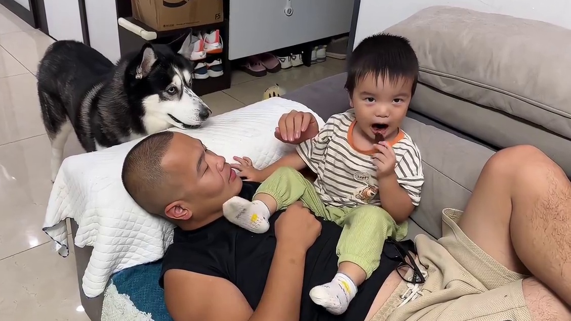 小宝宝吃肉干，二哈在旁边馋得狂咽口水，没出息的样子太逗了 #二哈 #哈士奇 #萌宠出道计划 #神奇动