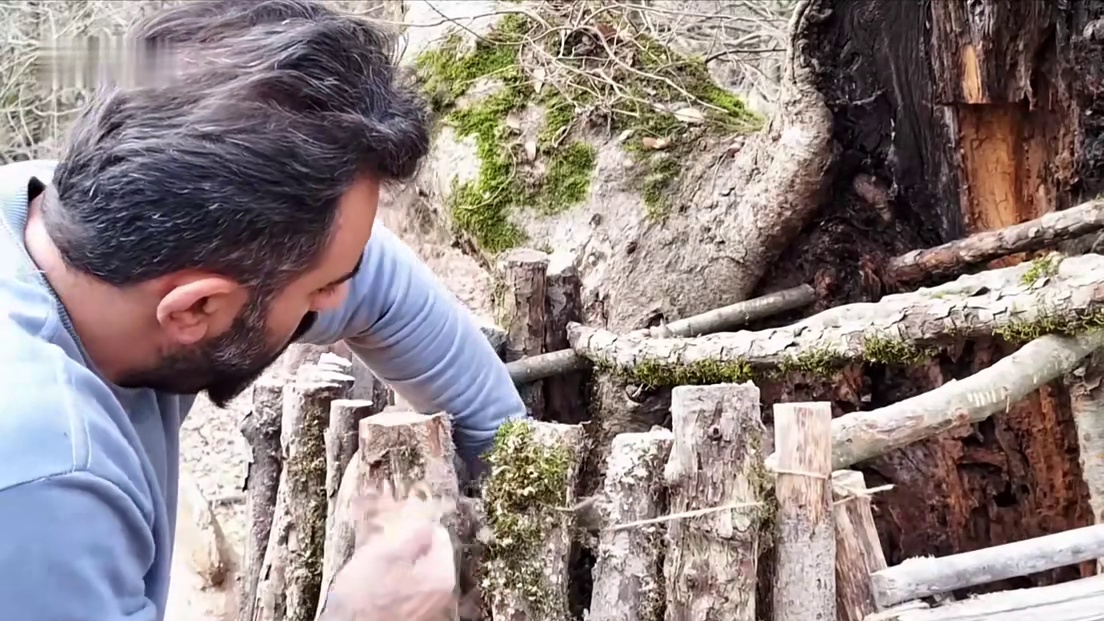 男人在大树内部建造出庇护所，并利用火势保护自己。