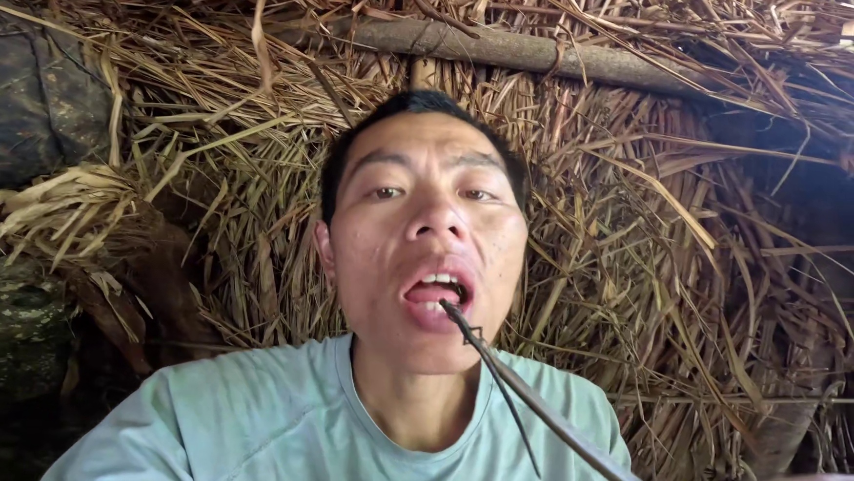 张家界七星山杯荒野求生挑战赛，决赛第四十八天。#七星山杯荒野求生挑战赛#户外#荒野求生