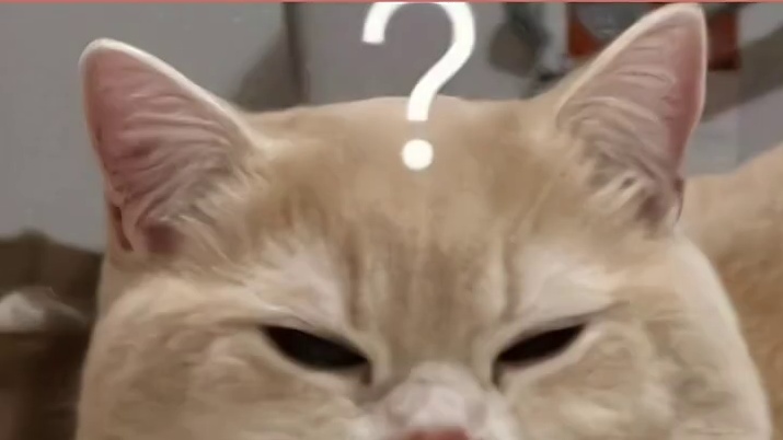 把小说里的某些时刻放到三次元！
这是要把他们逼⑩啊
#闲云野鹤cp #cv赵大花 #克拉克拉