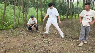 9.19 小小小酷哥-組織直播名場面