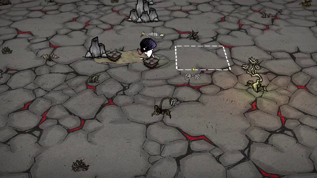 石头树 大蜈蚣 饥荒联机版最新内容 刚刚更新 #饥荒联机版 #饥荒新手 #饥荒萌新