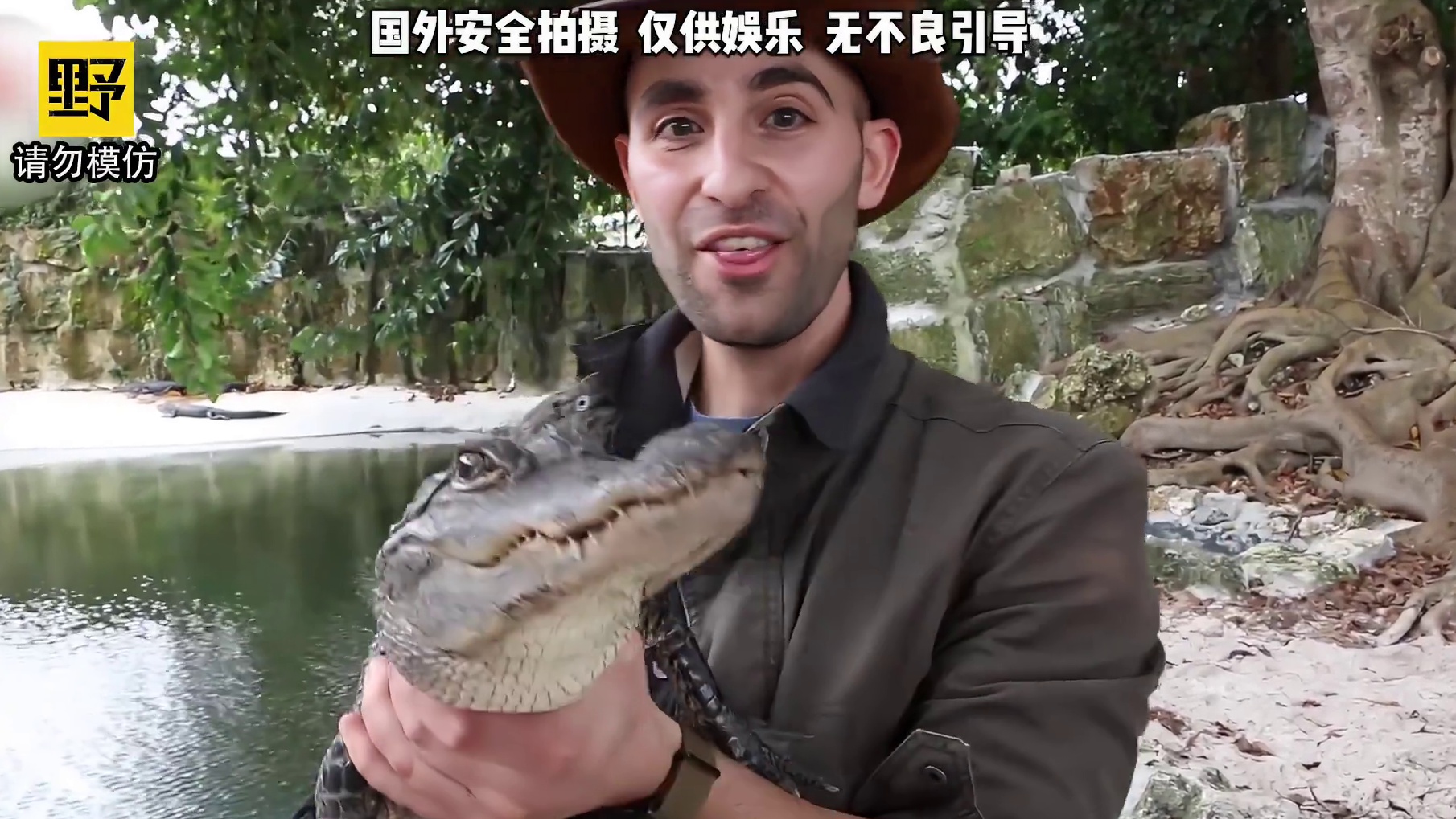 被鳄鱼咬一口会有多疼？ #整活 #外国人真会玩
