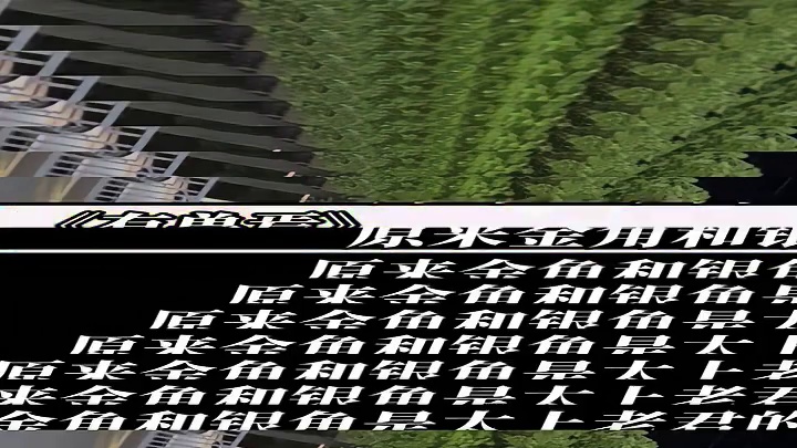 原来金角和银角是太上老君的童子啊 #有兽焉#每周B看