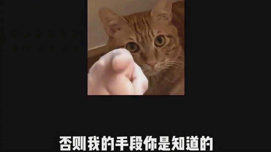 面张力，怎么这么香！这碗炫我，我能给任何人好脸色！