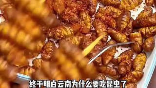 想不到不同地區(qū)的蟬叫起來有口音吶