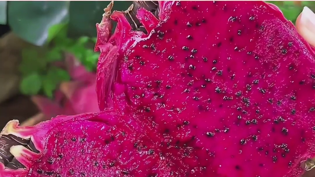 质疑陶渊明，理解陶渊明，成为陶渊明