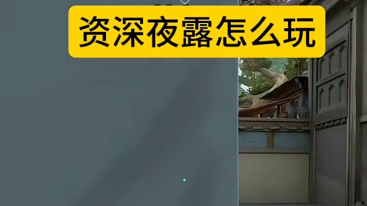 看把小老外队友吓惨了