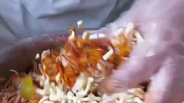 洛阳芝士火鸡烧饼