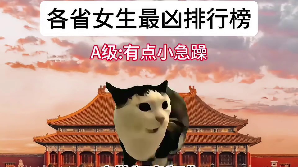 各省女生最凶排行榜 #猫meme #猫meme小剧场