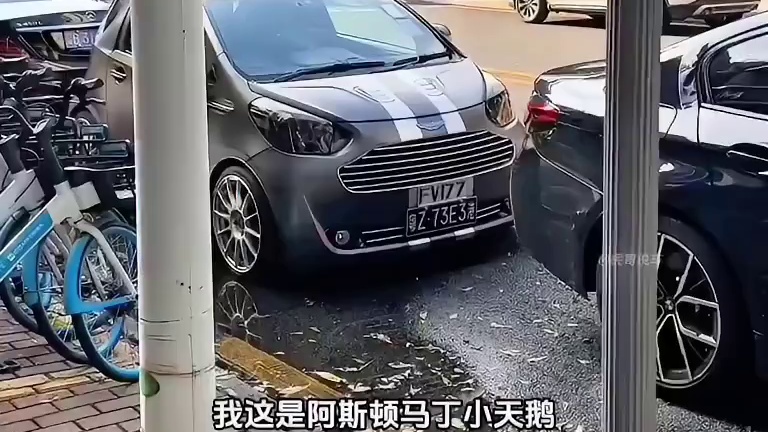 你知道阿斯顿马丁小天鹅价值多少钱吗