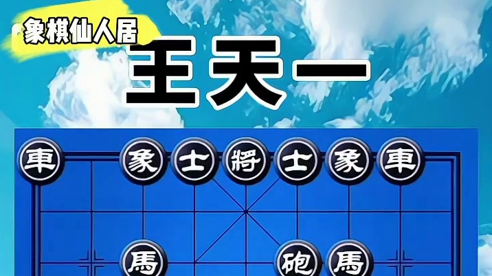 王天一VS何文哲