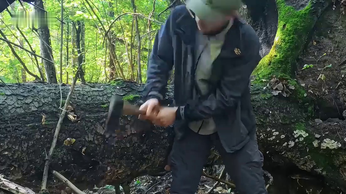 只因斯蒂芬多看了这根倒地粗壮大树一眼，他就立马卸下包袱(1)