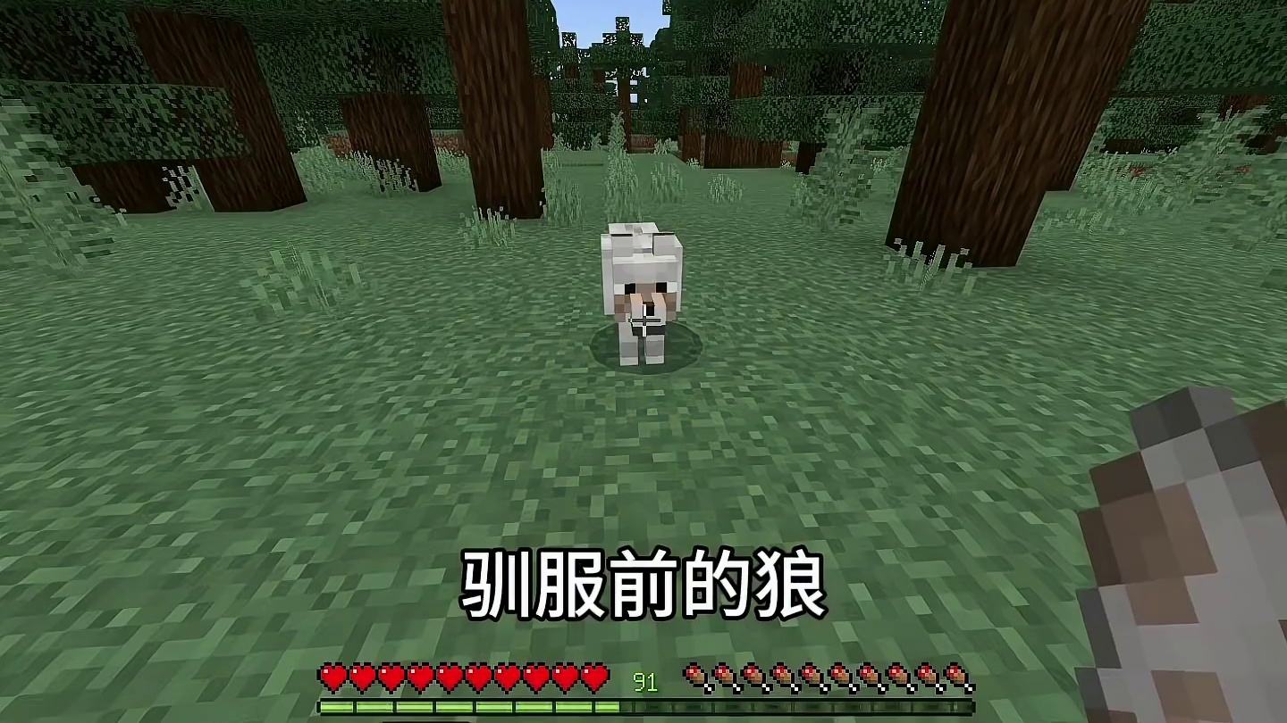 #我的世界 #MC 我的世界部分小知识/小技巧#minecraft