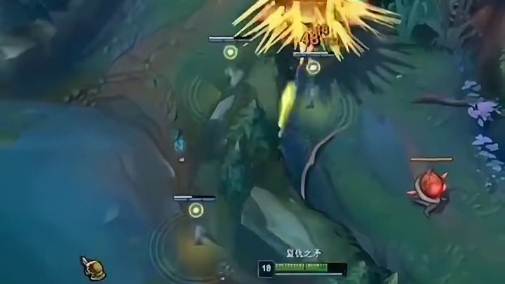 滑板鞋：河道一个海胆