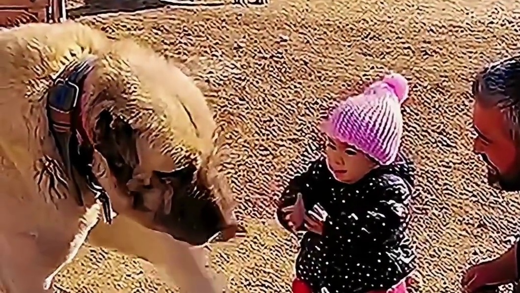 一辈子的好朋友