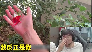 狂魔哥觀看30歲離婚男人的瀟灑生活 婚姻究竟給男人帶來了什么