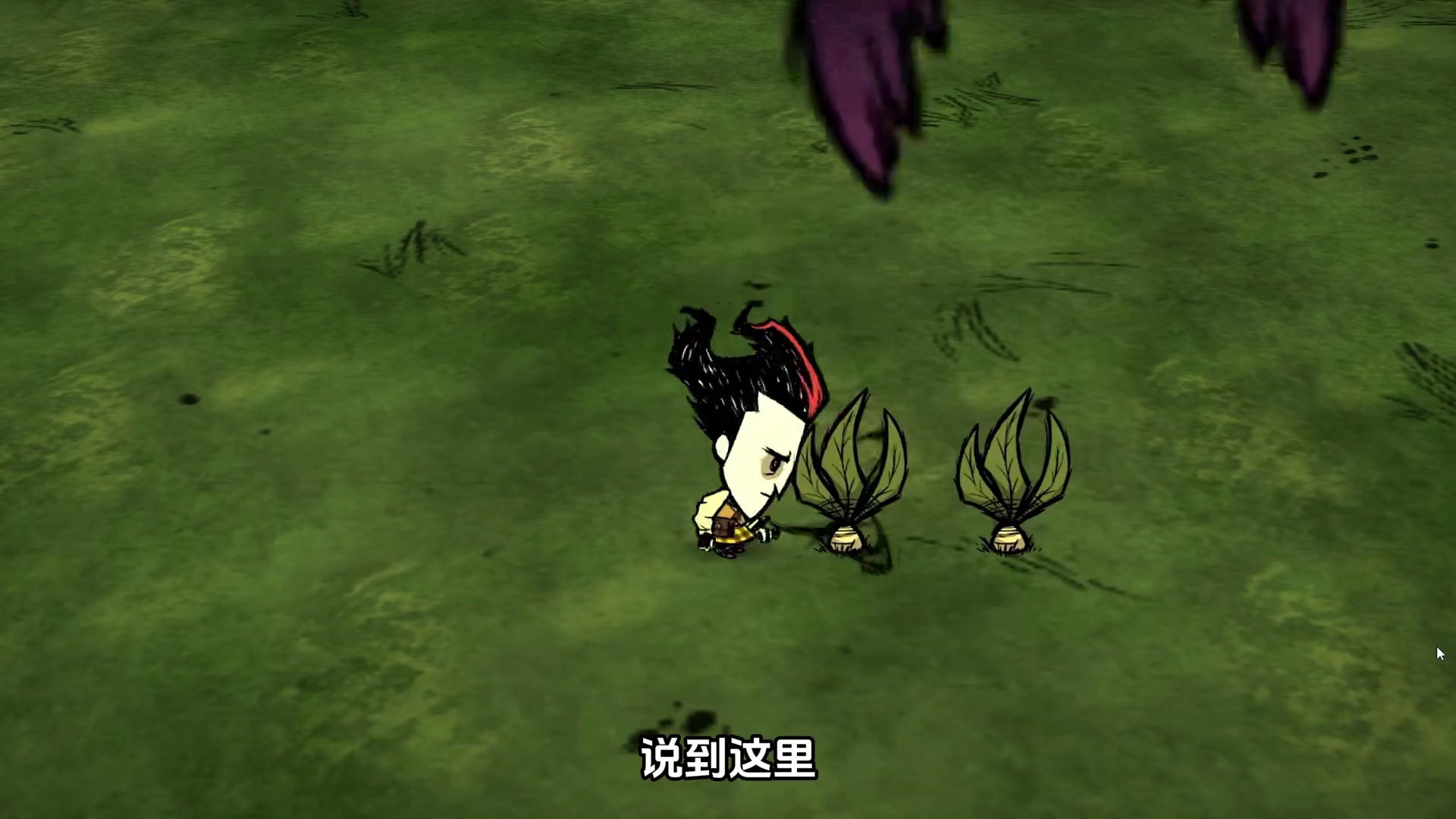 饥荒联机版：资源可以再生吗？曼德拉可以再生吗？ #饥荒 #游戏 #游戏实况