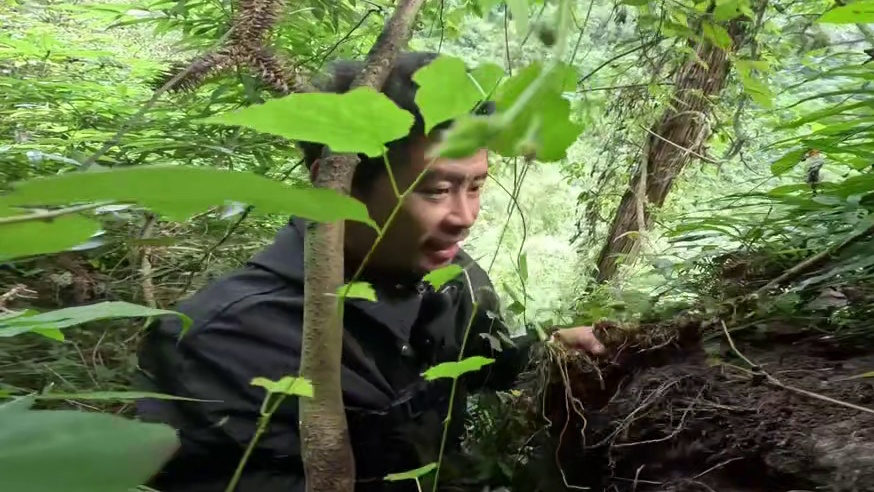 张家界七星山杯荒野求生挑战赛，决赛第五十二天。 #荒野求生#张家界七星山荒野#张家界七星山#荒野生存