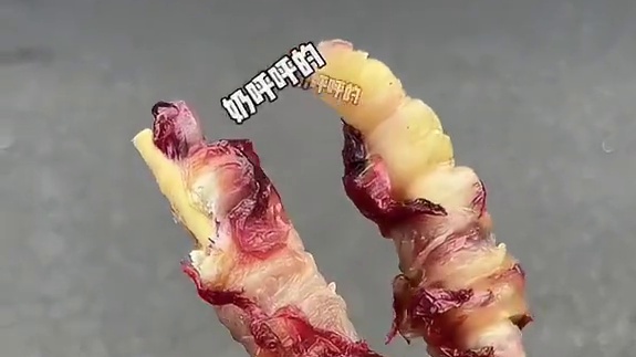 上海9r一串烤乳扇！我的消费观崩塌了…