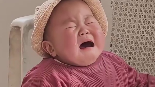 猫猫：就是要在一起