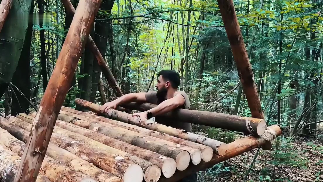 这绝对是荒野最安全的庇护所，它由数百根原木和苔藓层层叠筑(1)