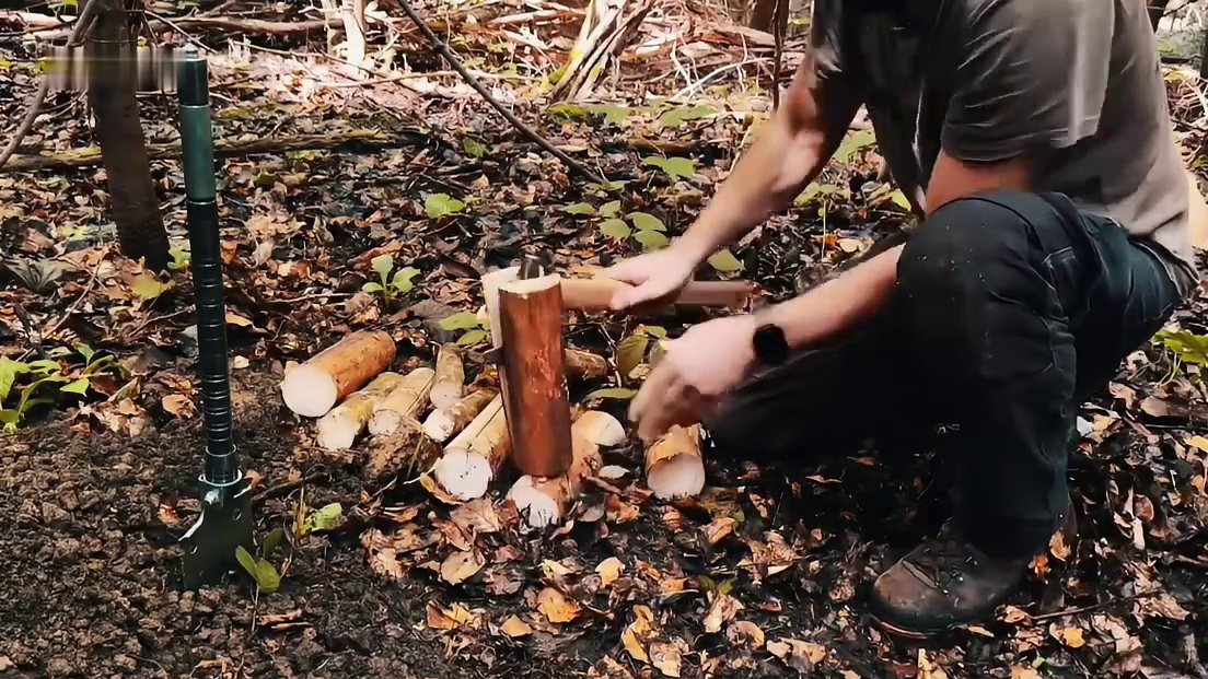 这绝对是荒野最安全的庇护所，它由数百根原木和苔藓层层叠筑(2)