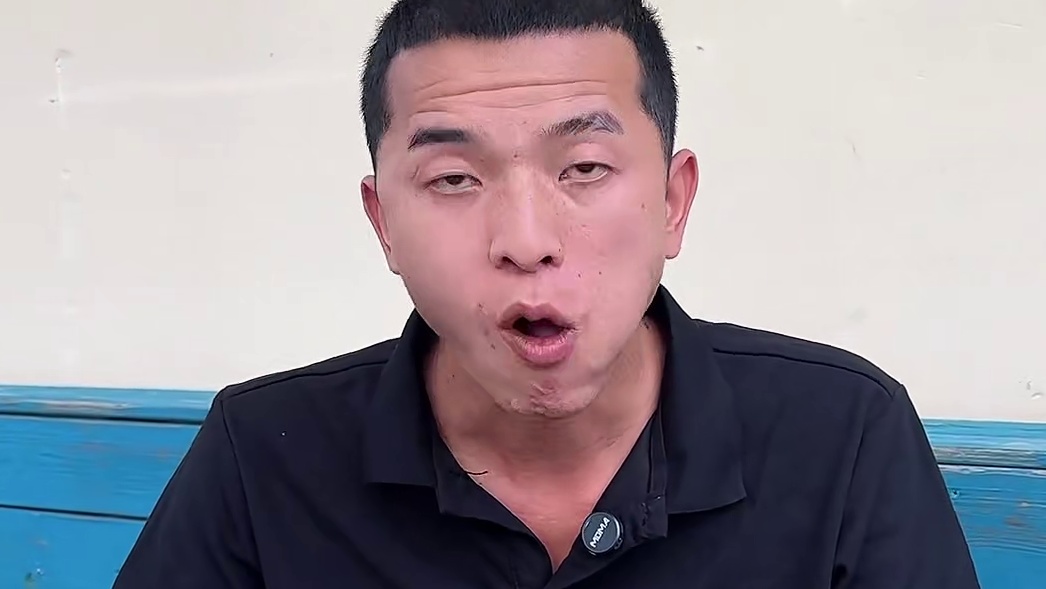 树番茄酱 树番茄酱