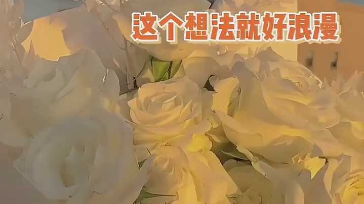 如果没有职业歧视，你最想做什么工作呢