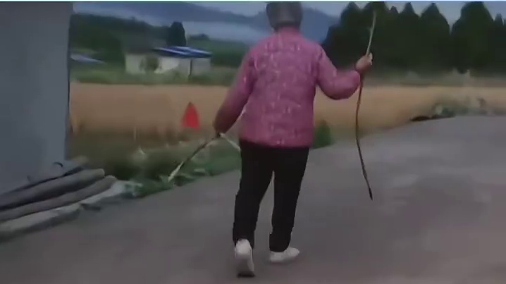 以后再也看不到狗狗守在屋前了