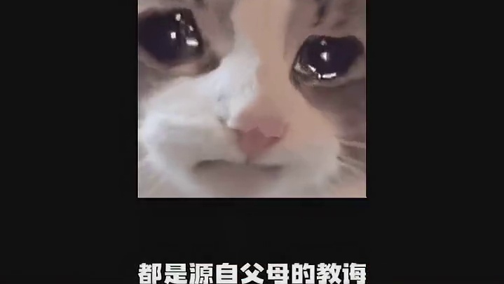 可是，连狗狗都知道教育自己的孩子不要去霸凌路过的鸡啊