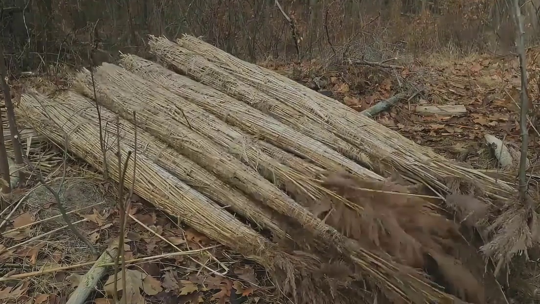 从没见过这么牛逼的男人(1)