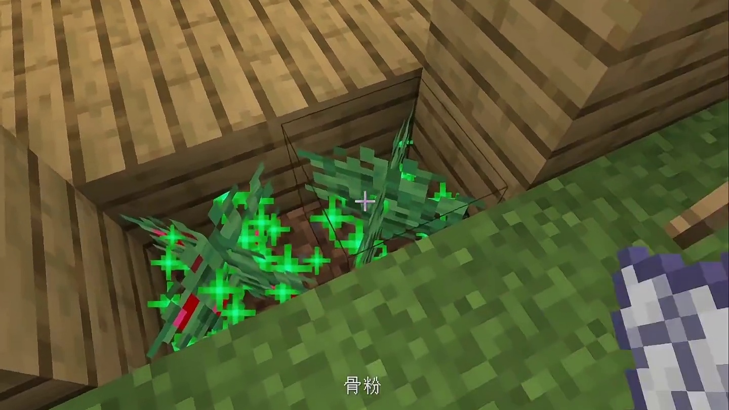 我的世界：官方以为的甜浆果！#我的世界 #mc不灭 #mc