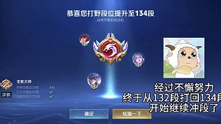 繼續(xù)升段咯 #鐘意 #王者 #國服最強打野